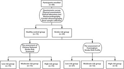 The preliminary evidence on the association of the gut microbiota with stroke risk stratification in South Chinese population